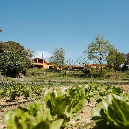 Casa Rural En El Campo Las Dalias Tordera Buitenkant foto