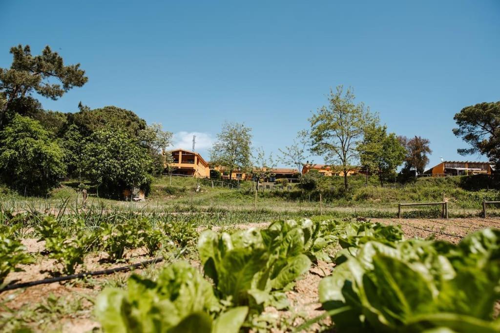 Casa Rural En El Campo Las Dalias Tordera Buitenkant foto